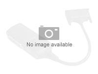 PNY - Adaptateur VGA - DVI-I - HD-15 QSP-DVIVGA